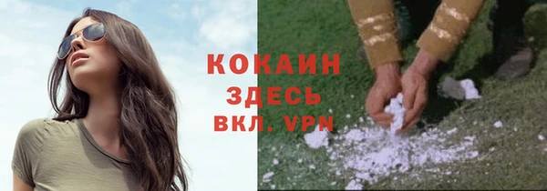 PSILOCYBIN Абаза