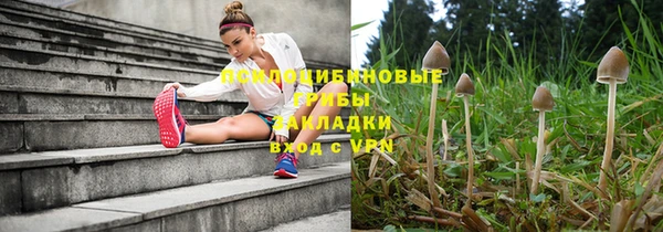 гашик Алексеевка