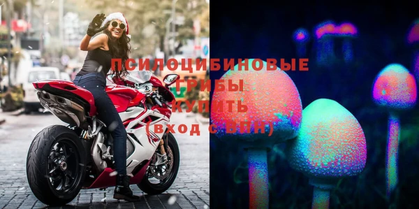 PSILOCYBIN Абаза
