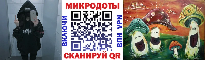 hydra зеркало Судогда Псилоцибиновые грибы Magic Shrooms как найти наркотики